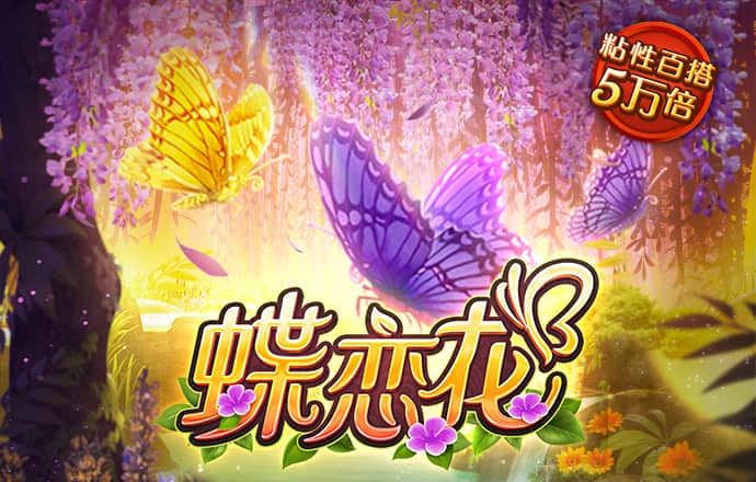 华体育会app